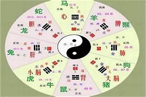 字的五行怎么看|怎样判断一个字的五行